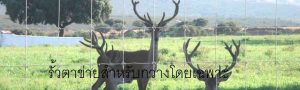 รั้วตาข่ายสำหรับกวาง