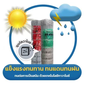 แข็งแรงทนแดดทนฝน