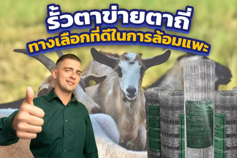 รั้วตาข่ายตาถี่