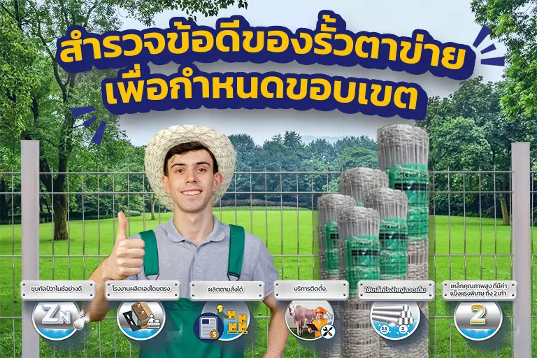 สำรวจข้อดีของรั้วตาข่ายเพื่อกำหนดขอบเขต