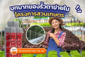 ภาพประกอบรั้วตาข่ายในสวนเกษตร