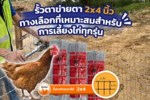 บทบาทของรั้วตาข่าย2x4ในโครงการสวนเกษตร