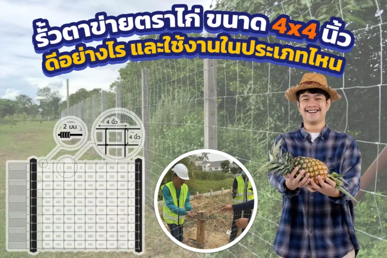 รั้วตาข่ายตราไก่ ขนาดช่อง 4×4 นิ้ว: ดีอย่างไร และใช้งานในประเภทไหน