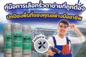 คู่มือการเลือกรั้วตาข่ายที่ถูกต้อง ปกป้องพื้นที่ของคุณอย่างมืออาชีพ