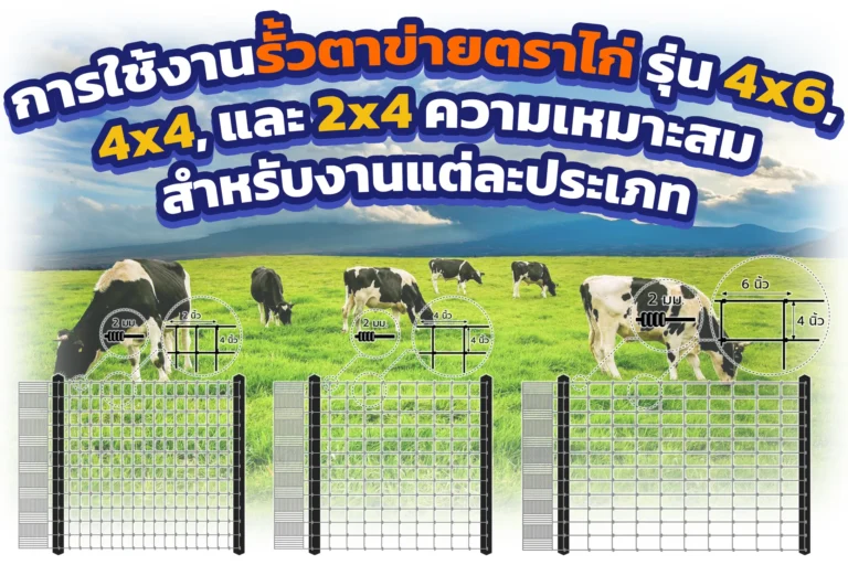 รั้วตาข่ายตราไก่ รุ่น 4×6, 4×4, และ 2×4: การใช้งานและความเหมาะสมสำหรับงานแต่ละประเภท