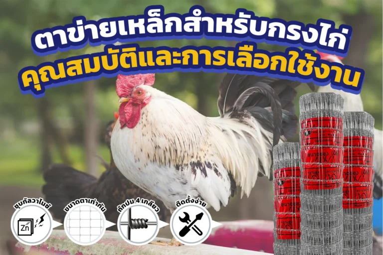 ตาข่ายเหล็กสำหรับกรงไก่ คุณสมบัติและการเลือกใช้งาน