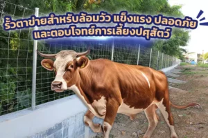 รั้วตาข่ายสำหรับล้อมวัว