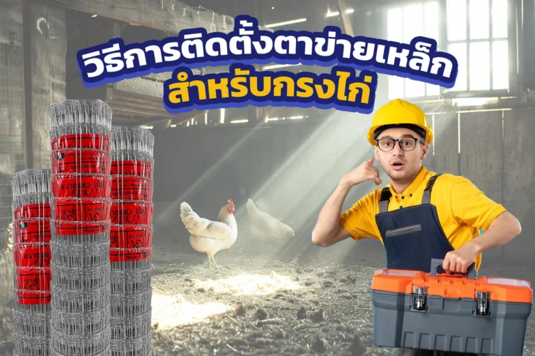 วิธีการติดตั้งตาข่ายเหล็กสำหรับกรงไก่
