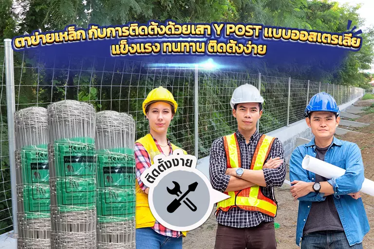 ตาข่ายเหล็ก กับการติดตั้งด้วยเสา Y Post แบบออสเตรเลีย แข็งแรง ทนทาน ติดตั้งง่าย