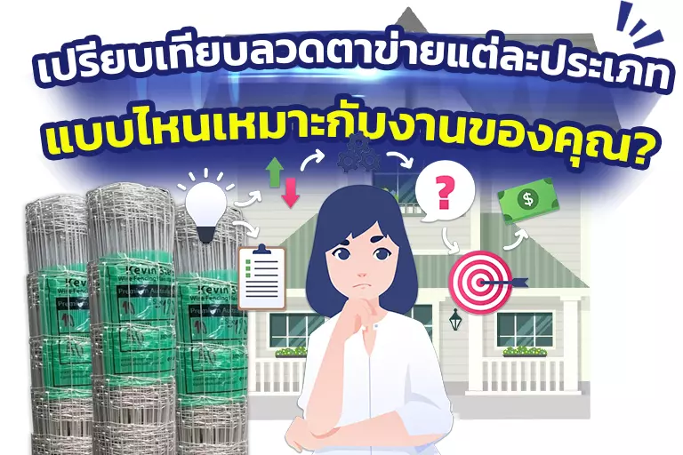 เปรียบเทียบลวดตาข่ายแต่ละประเภท: แบบไหนเหมาะกับงานของคุณ?