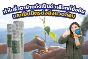 ทำไมรั้วตาข่ายถึงเป็นตัวเลือกที่ยั่งยืนและเป็นมิตรต่อสิ่งแวดล้อม