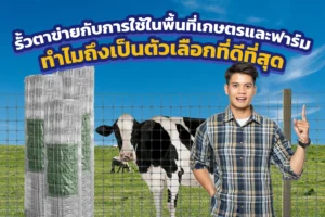 รั้วตาข่ายกับการใช้ในพื้นที่เกษตรและฟาร์ม ทำไมถึงเป็นตัวเลือกที่ดีที่สุด