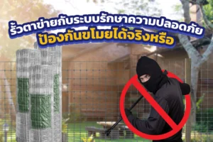 รั้วตาข่ายกับระบบรักษาความปลอดภัย ป้องกันขโมยได้จริงหรือ