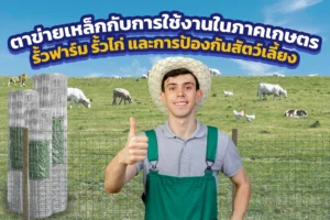 ตาข่ายเหล็กใช้งานในภาคเกษตรและรั้วฟาร์มรั้วไก่ ป้องกันสัตว์เลี้ยง