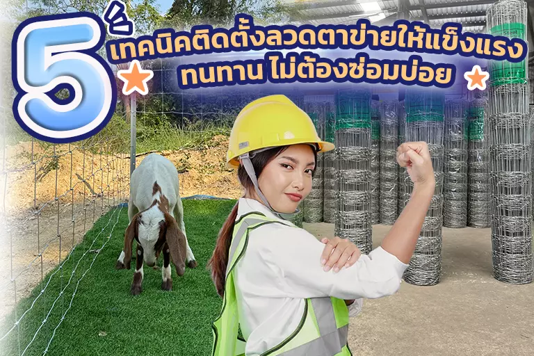5 ข้อควรรู้ก่อนติดตั้งรั้วตาข่ายเหล็กที่บ้านหรือโรงงาน