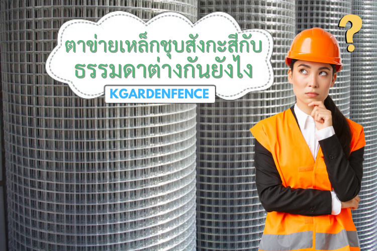 ตาข่ายเหล็กชุบสังกะสีกับธรรมดาต่างกันยังไง แบบไหนทนกว่า