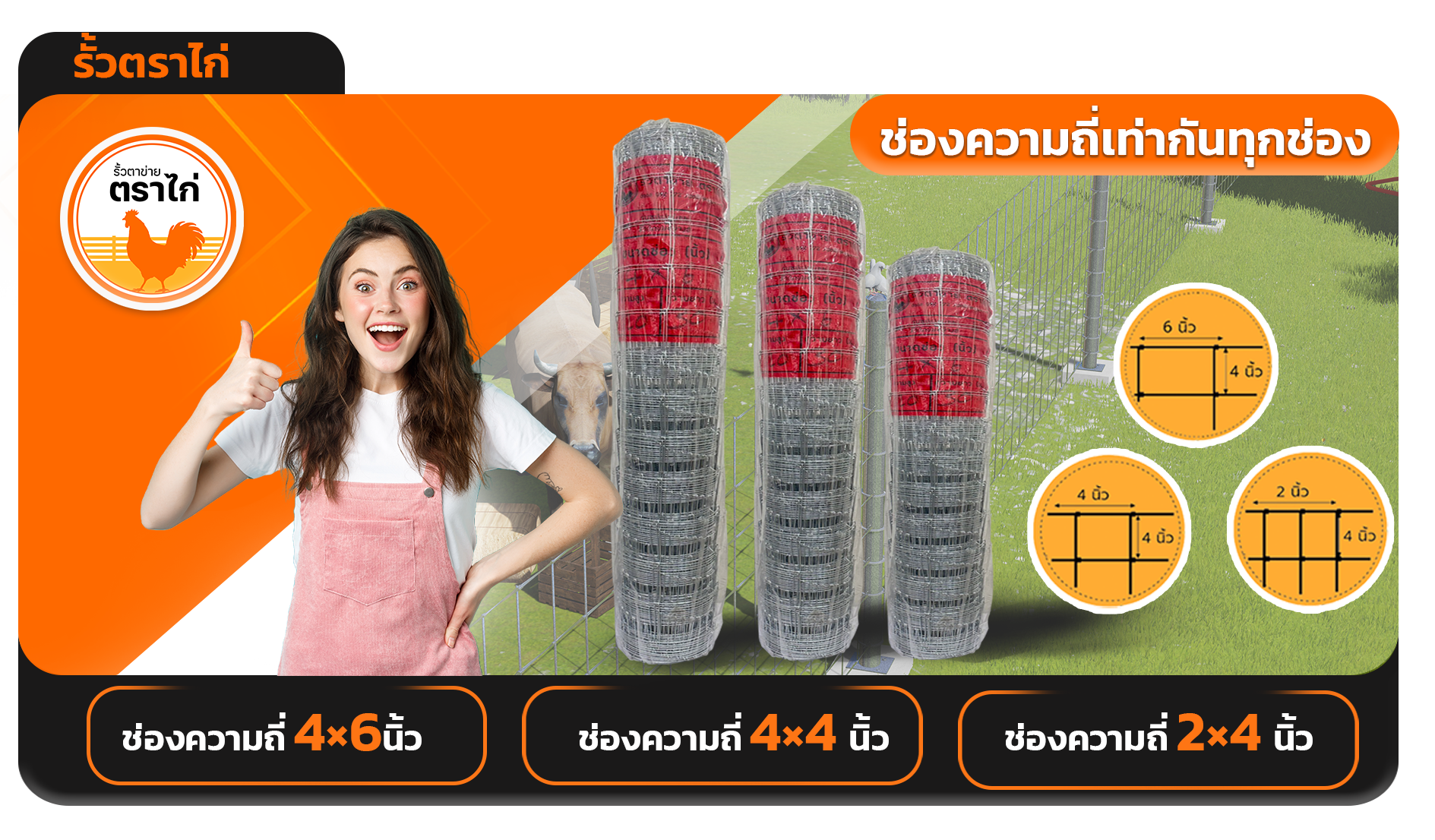 รั้วตาข่าย