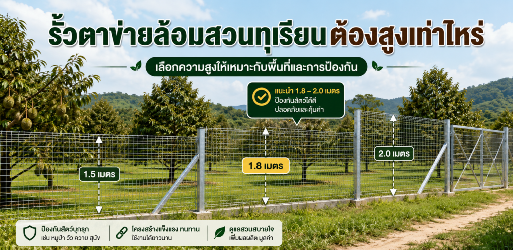 รั้วตาข่ายล้อมสวนทุเรียนต้องสูงเท่าไหร่