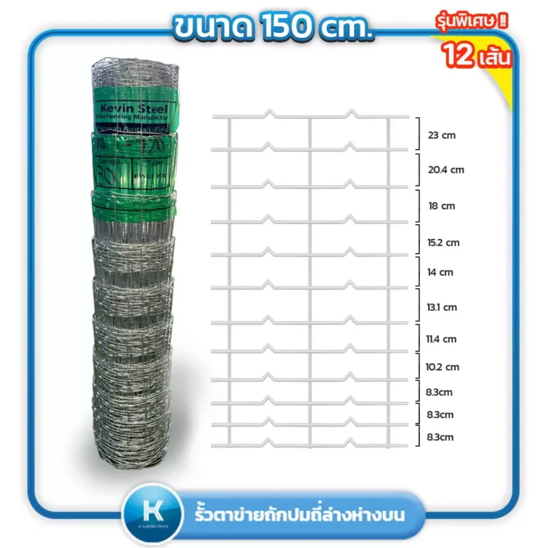 150cm_12เส้น