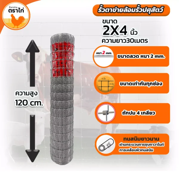 รั้วตาข่ายล้อมปศุสัตว์ขนาด2*4นิ้ว