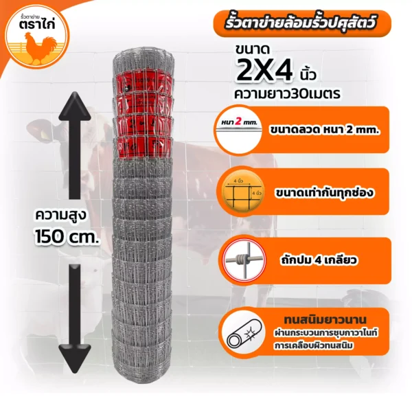 รั้วตาข่ายล้อมปศุสัตว์ขนาด2*4นิ้วความสูง150
