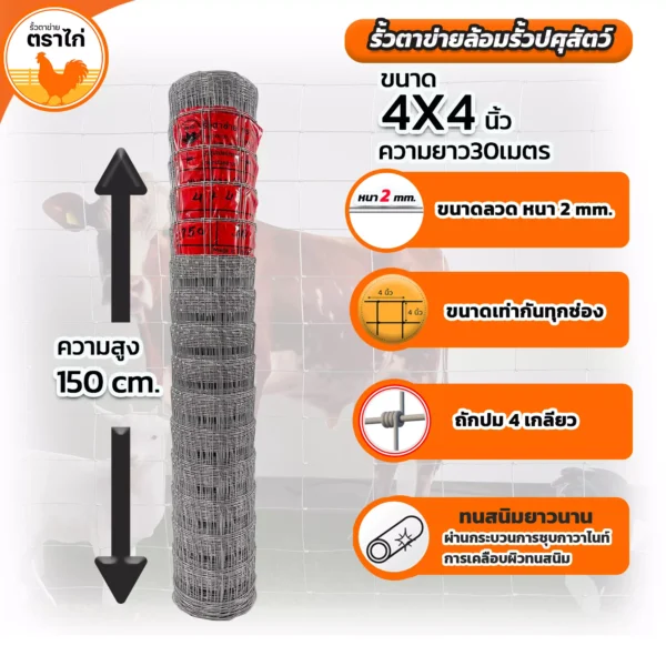 รั้วตาข่ายล้อมปศุสัตว์ขนาด4*4นิ้วความสูง150 นิ้ว