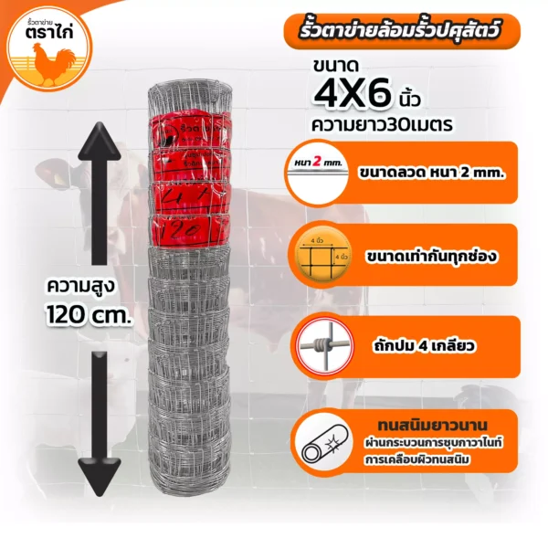 รั้วตาข่ายล้อมปศุสัตว์ขนาด4*6นิ้วความสูง120 นิ้ว