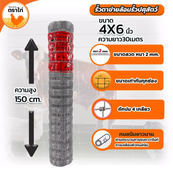 รั้วตาข่ายล้อมปศุสัตว์ขนาด4*6นิ้วความสูง150 นิ้ว
