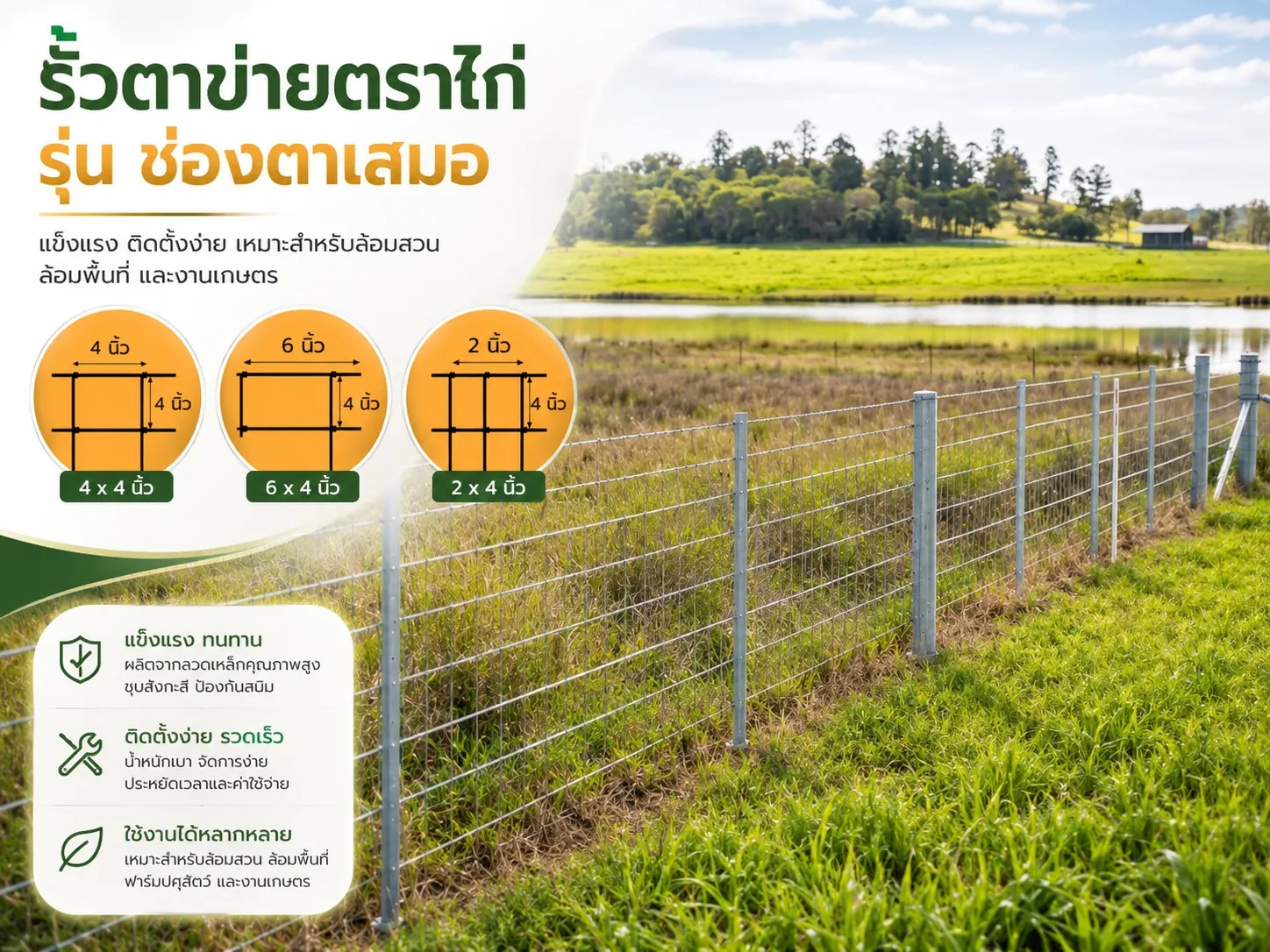 รั้วตาข่ายตราไก่ 3 ขนาด