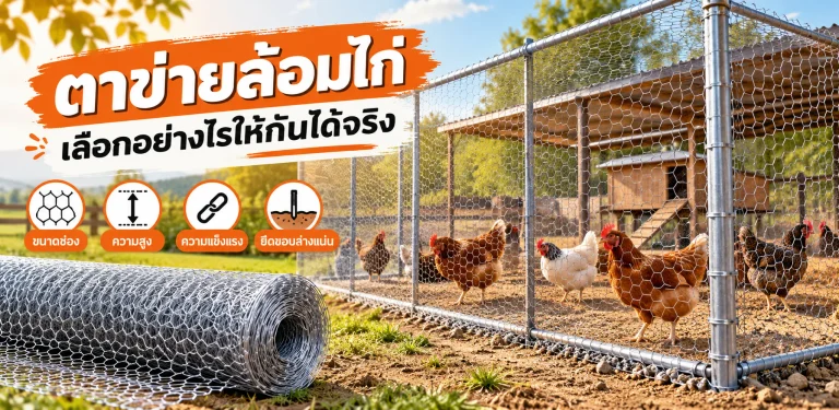 ตาข่ายล้อมไก่ เลือกอย่างไรให้กันได้จริง